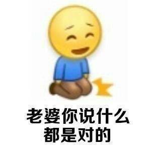 向老婆认错专用表情包：我跪到你笑了，我再起来