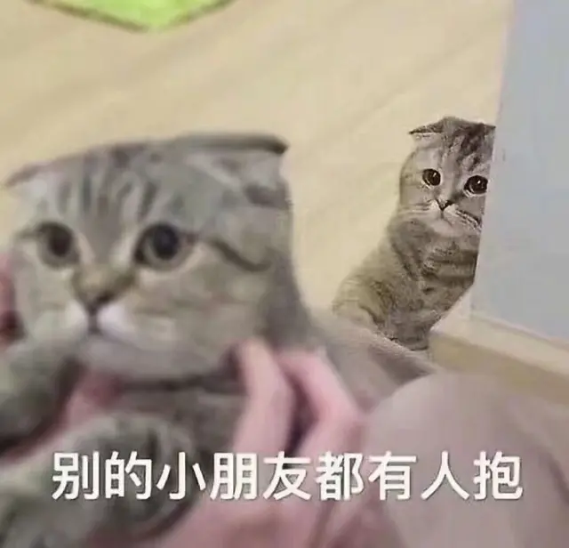 适合给男朋友发的猫猫表情包