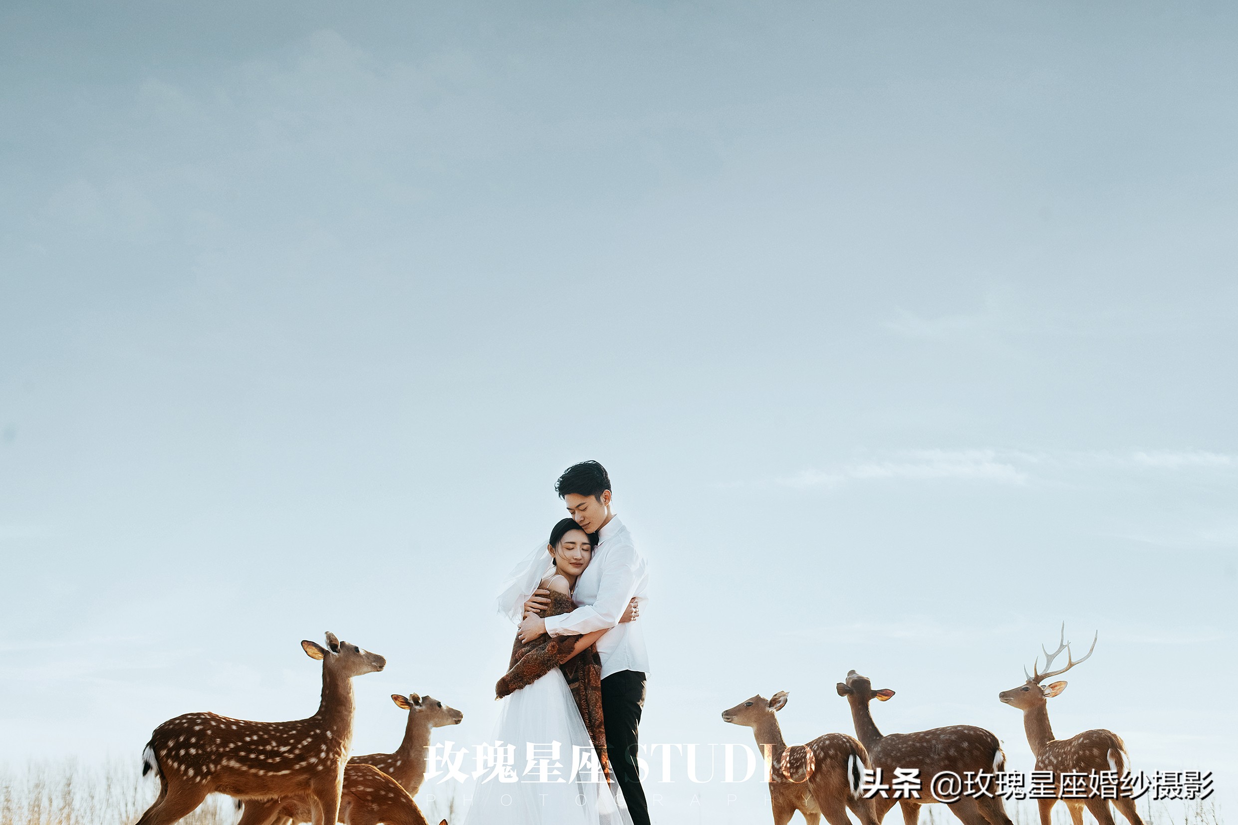 一鹿有你的唯美句子