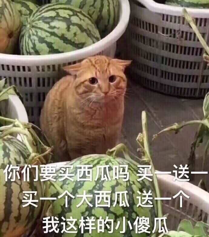 被生活压垮的表情包｜什么都是他们的，我这个胖子连脖子都没有