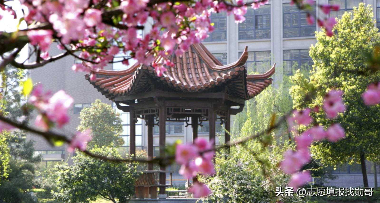 计算机专业最强的11所普通本科，干过211，最有可能晋升双一流