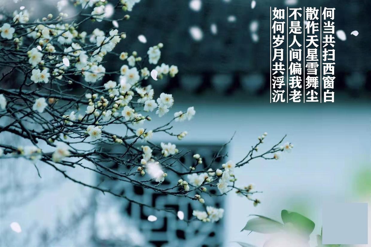 “青丝渐雪色，何处是归程”——九月的诗词碎片（原创）