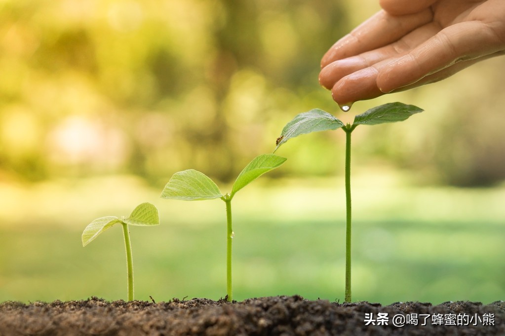 房产销售技巧和话术，抓住这三个过程