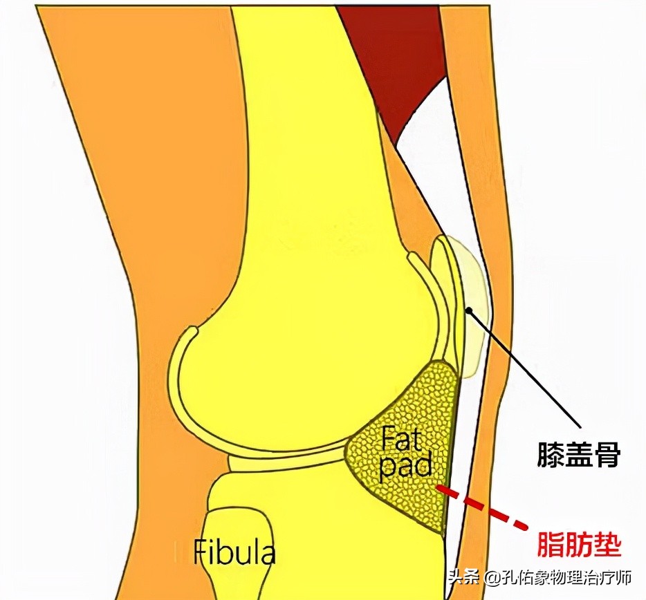 膝关节疼痛是怎么回事？常见的6个部位、8大病因，不可忽视