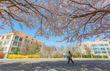 太低调！这所实力985，是我国重点建设的唯一一所综合性海洋大学