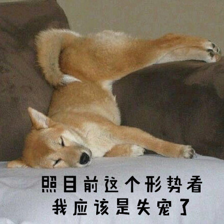 柴犬表情包｜真叫狗头大