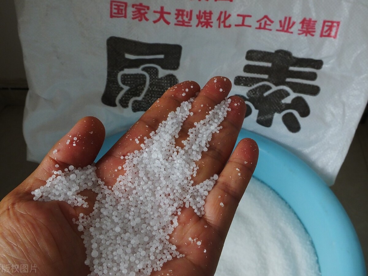 尿素突然集体降价！什么情况？要便宜了？今年尿素会是什么价？