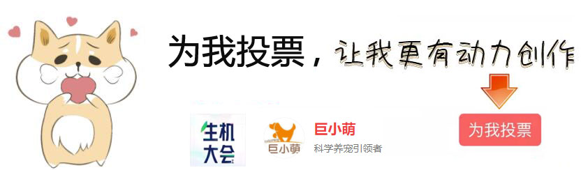 辟谣：狗狗鼻子湿不代表健康，干燥也不一定患病，主人该怎么分辨