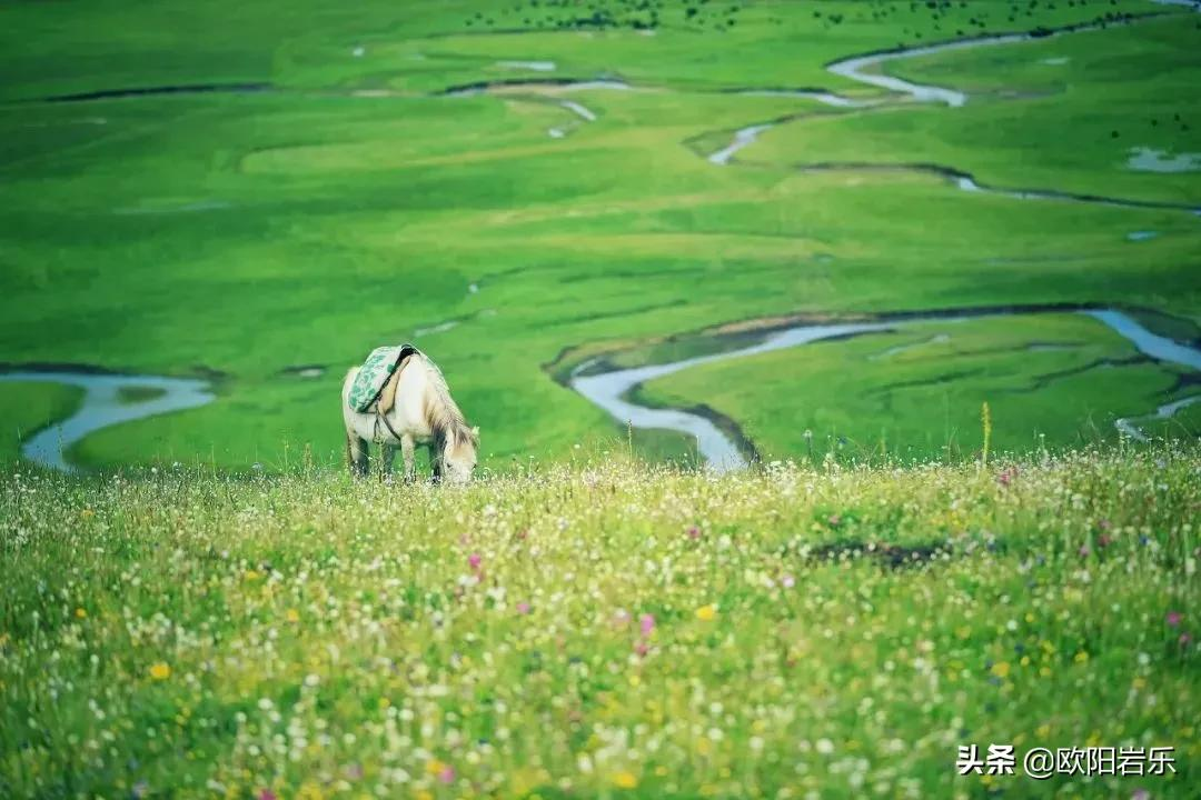 来甘肃吧，领略这个神奇的地方，看遍祖国的美景