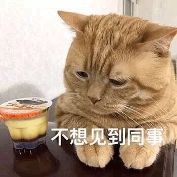 猫咪表情包合集｜我太难了，我想静静