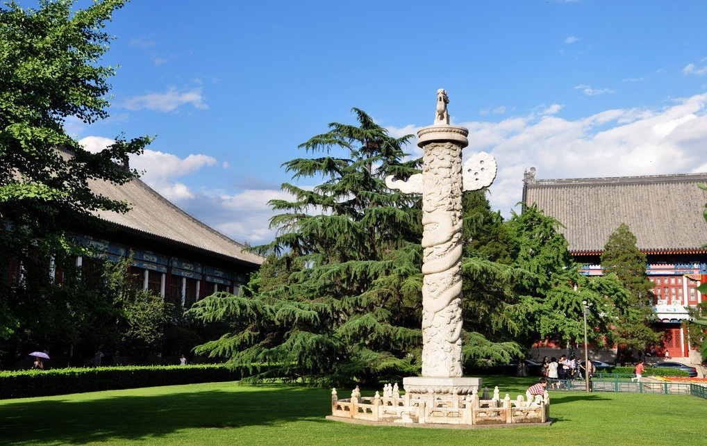 山东新高考第一年：清华分数被上交大超出，医学、理科受热捧