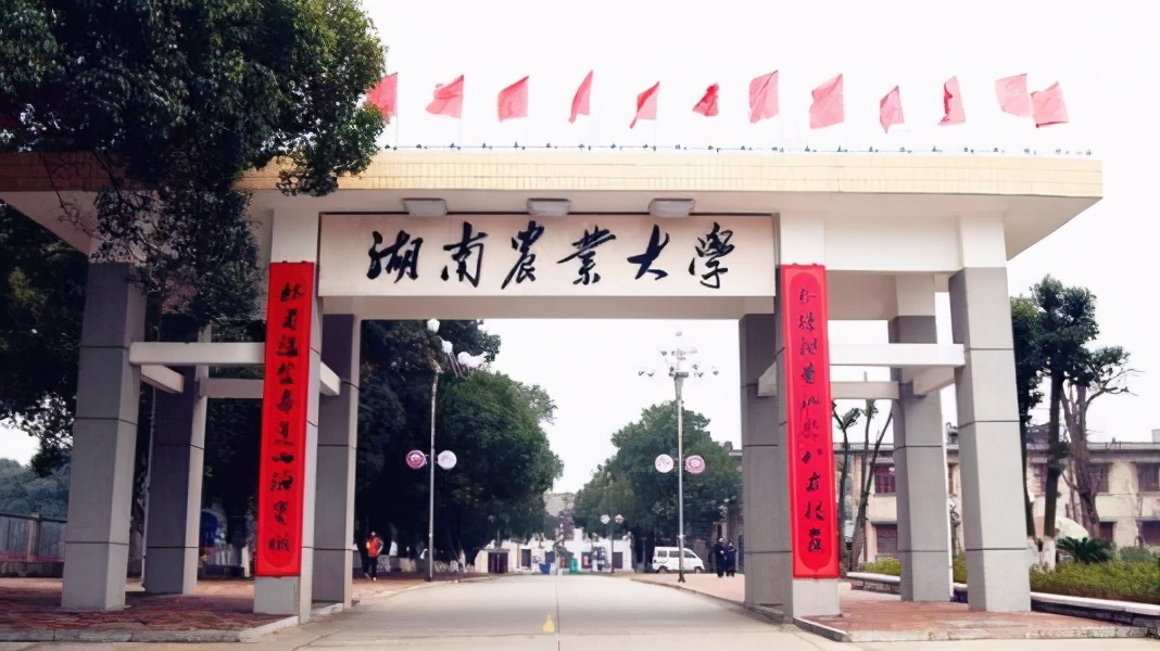 湖南农业大学学霸班级考研率79%，上线率也高达89%