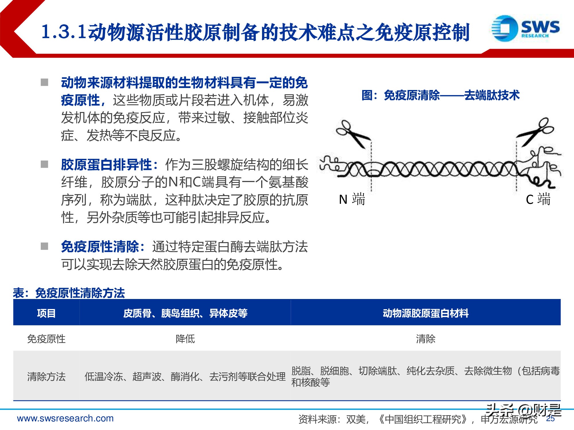 胶原蛋白行业深度研究报告：生物医药材料下一个风口