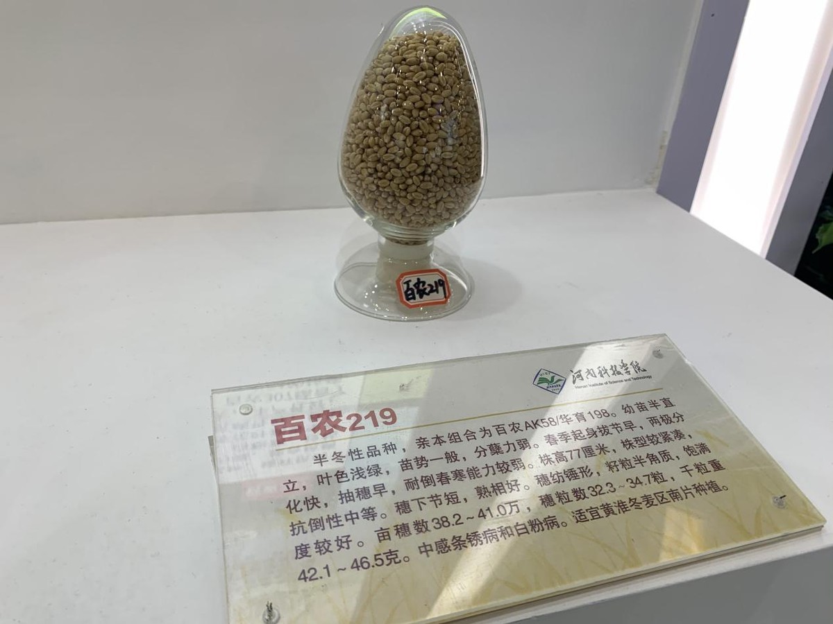 河南展团：用“芯”筑牢粮食安全“防护墙”