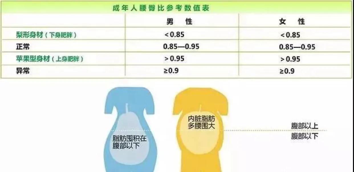 46岁贾静雯暴瘦18斤，抬臂20下3招甩掉拜拜肉