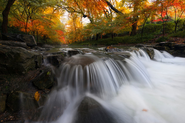 每日一词《桂枝香》赏析