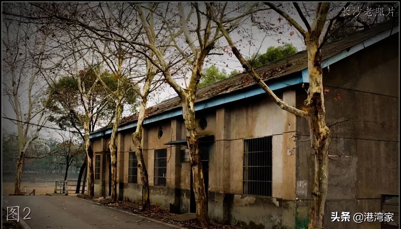 中南林学院老照片：校舍，旧图书馆，忆同学少年，风华正茂