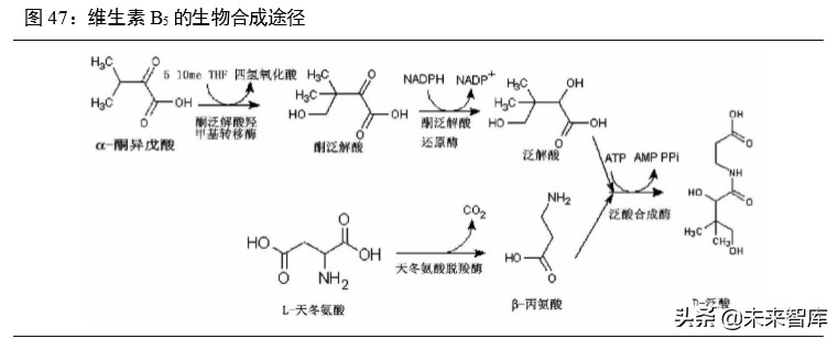 维生素行业深度报告：13个主要维生素品种生产工艺与市场格局解析