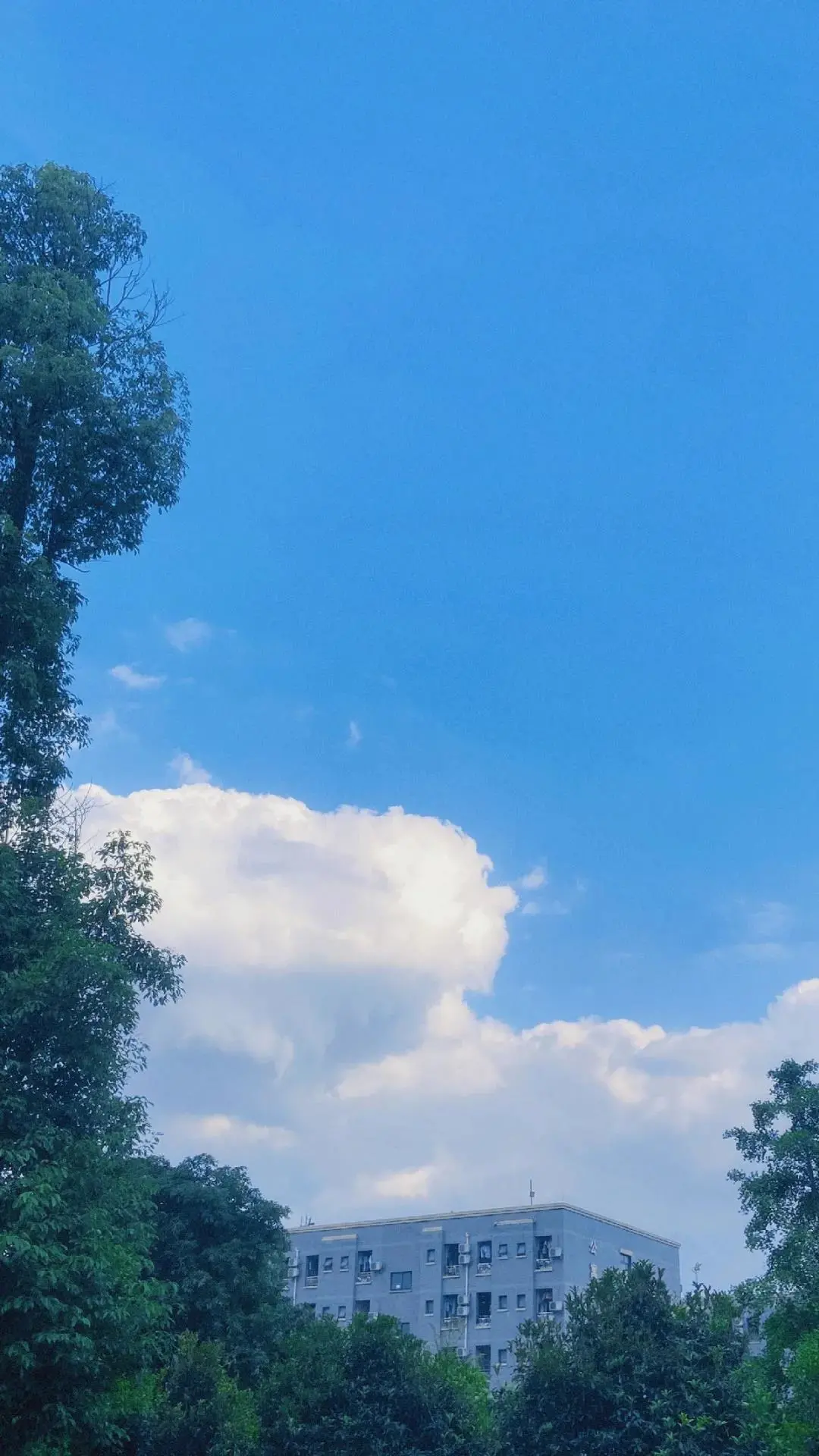 超好看！四川各高职院校专属壁纸，建议收藏