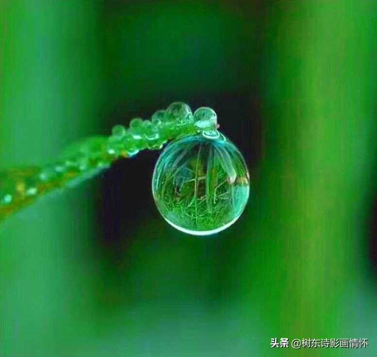 春风春雨春笋春心