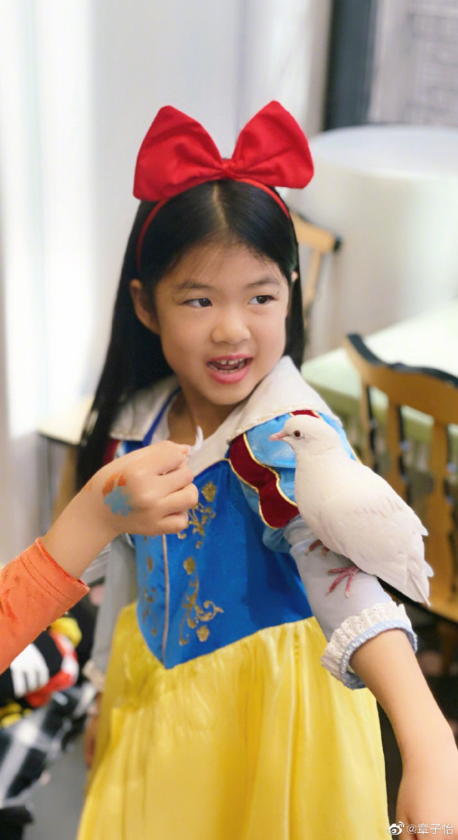 章子怡晒一家五口万圣节造型，儿子cos尼莫好可爱，名字首曝光