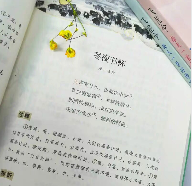 “最美女教授”魅力真大，为听一堂课，学生抢着选课，站着听课