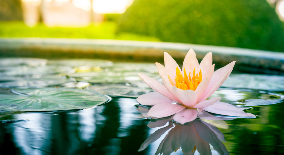 南北东西总是禅，十二首有关禅心的诗词，看古诗词里的禅意