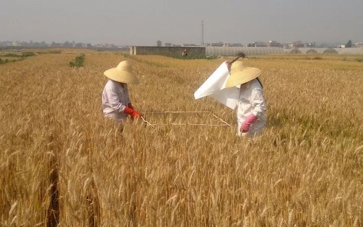 创办农村合作社的优点和缺点，快来看看