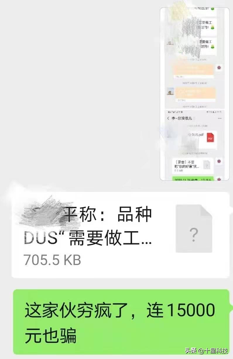 河南省选大穗小麦品种：不选河北的，要选陕西的，为什么呢？