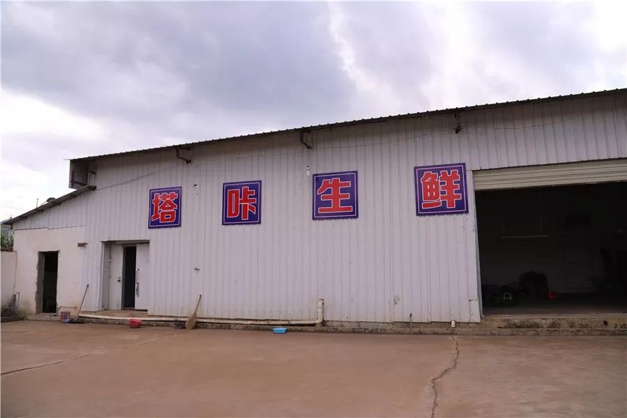 村子里走出的“电商达人”，他卖啥好东西？