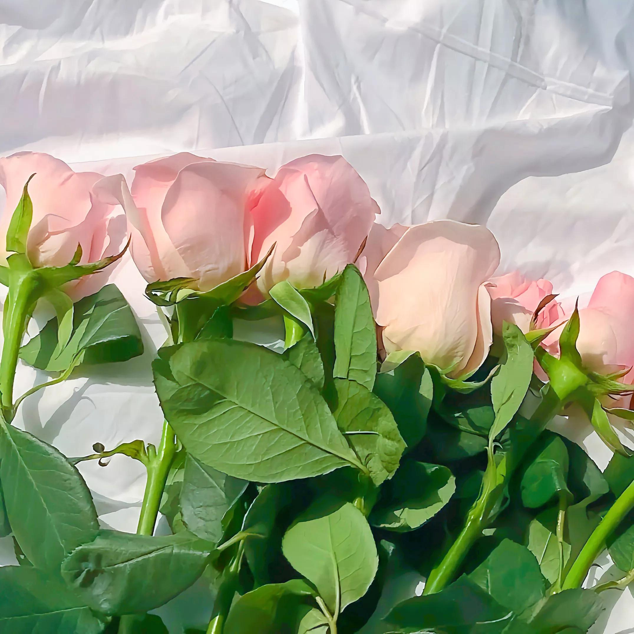 朋友圈背景图‖"这场感情我输了,对不起,我认真了"