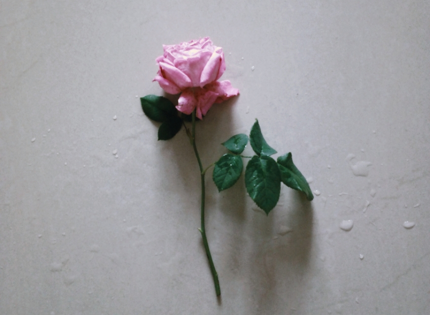 六篇高考满分作文——关于善，关于爱，关于价值，关于情怀