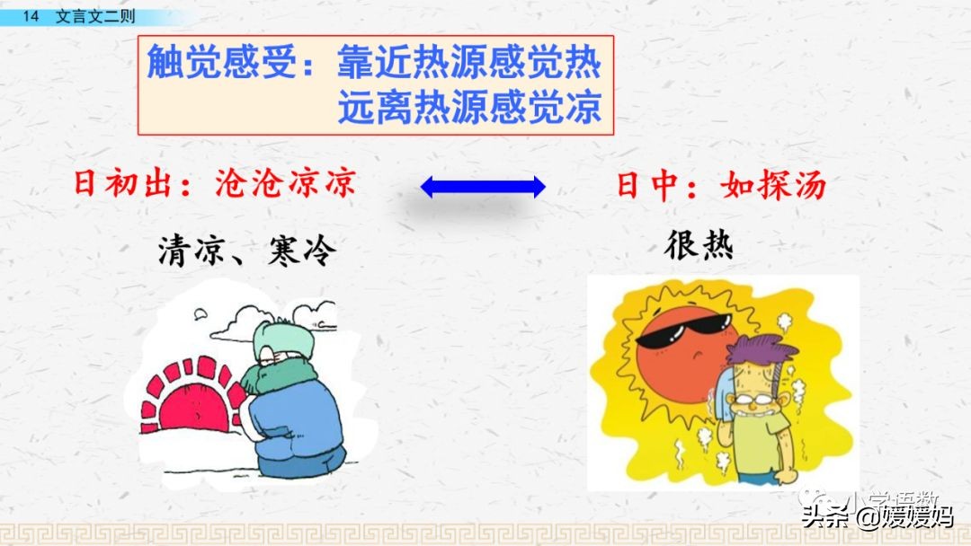 日出江花红胜火的作者及知识点分析