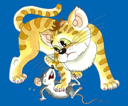 猫咪并不喜欢吃老鼠，捕鼠也只是因为三点原因，却总被人误解！
