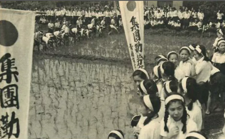 劳动手册,劳动手册在哪里办理