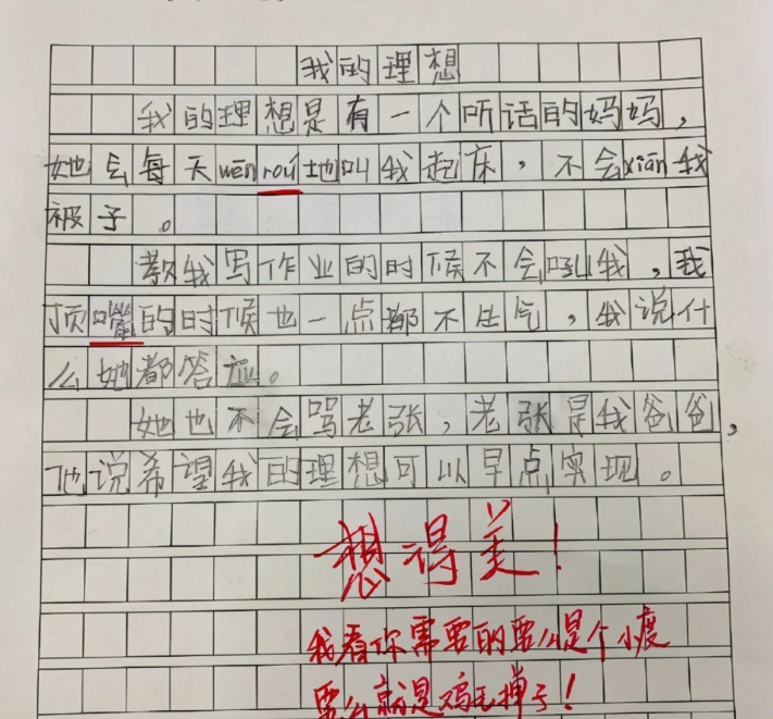 小学生作文《我的妈妈》走红，内容感人而深刻，老师：必须给满分