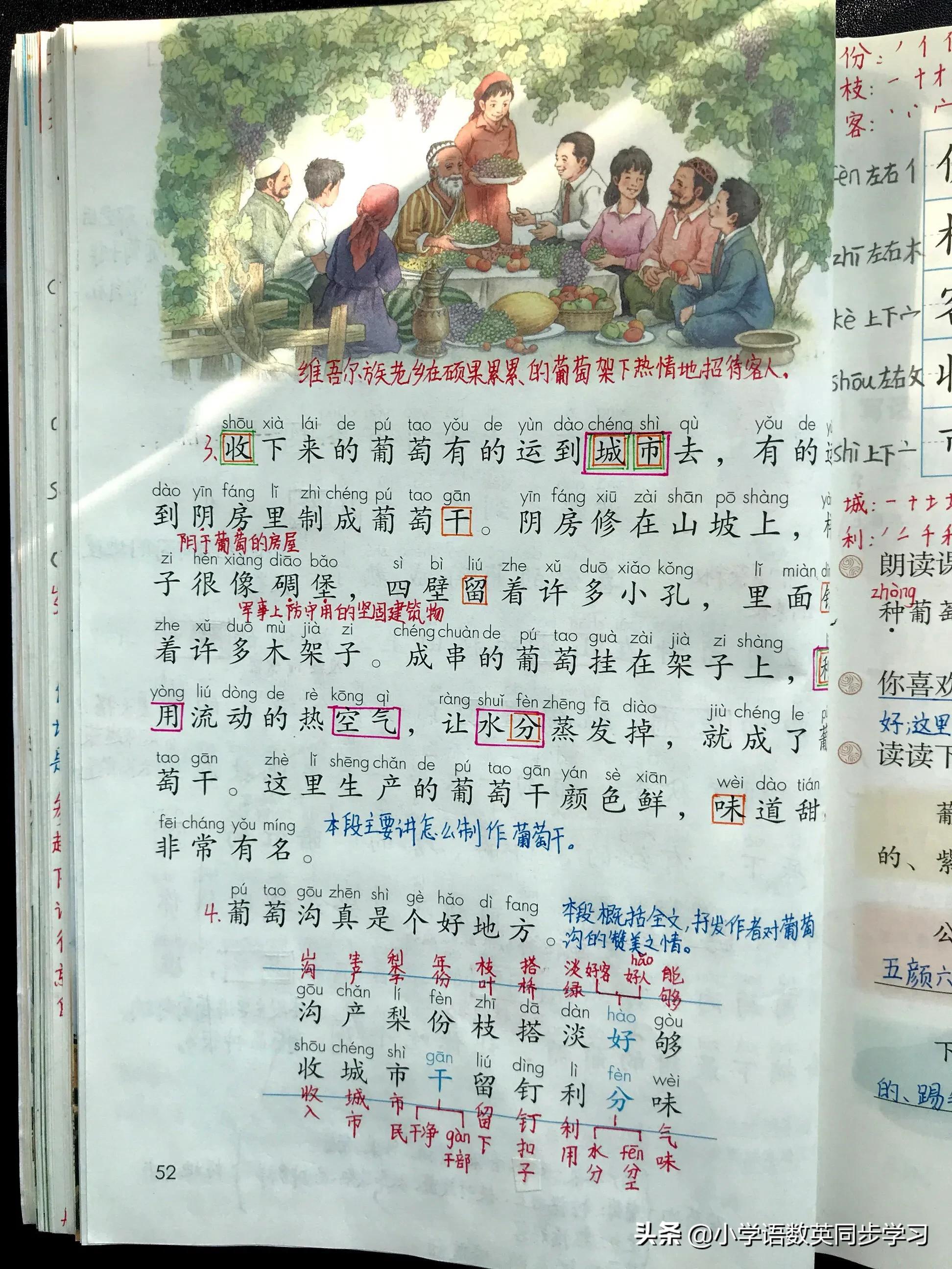 小学语文二年级上册课文11《葡萄沟》超详细教师笔记