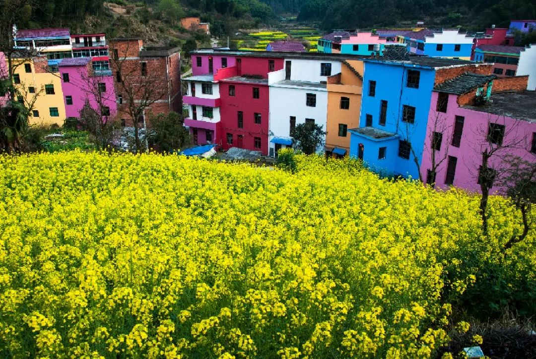 金华这有个童话一般的五彩小村庄,景色美到窒息,关键还免费,很多人还