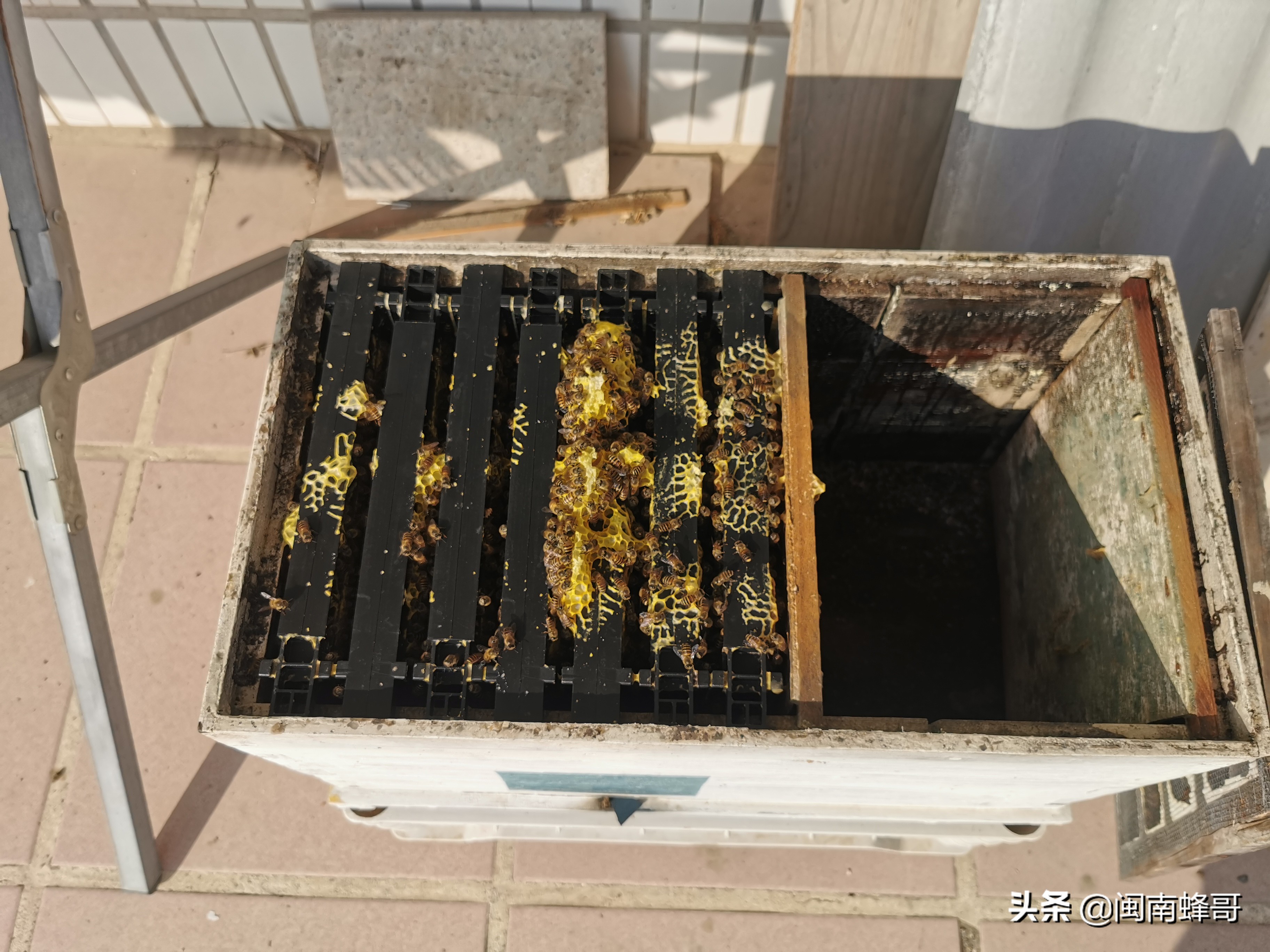 蜜蜂箱制作图片大全(1种新型短巢框) - 赤虎壹号