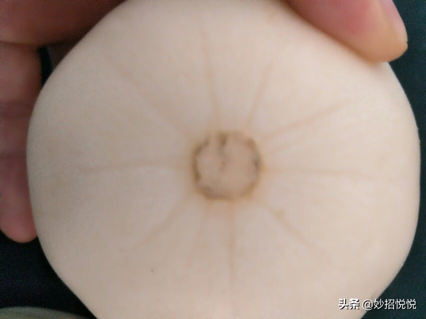 伊麗莎白瓜,伊麗莎白瓜的營養價值及功效與作用