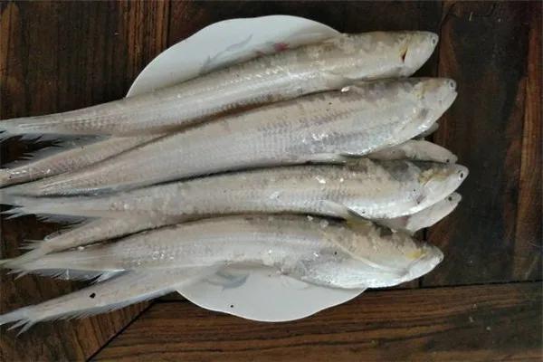 21種國產野生名貴淡水魚，吃過8種，你就是饕餮達人了