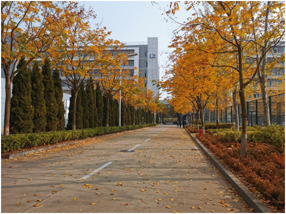 为什么选择中国石油大学（华东）？这10大理由足够吸引你！