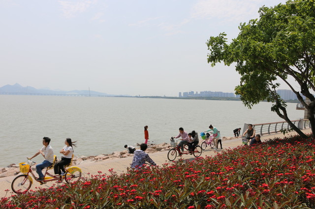 深圳10个免费公园，你们去了几个，不来打卡太可惜