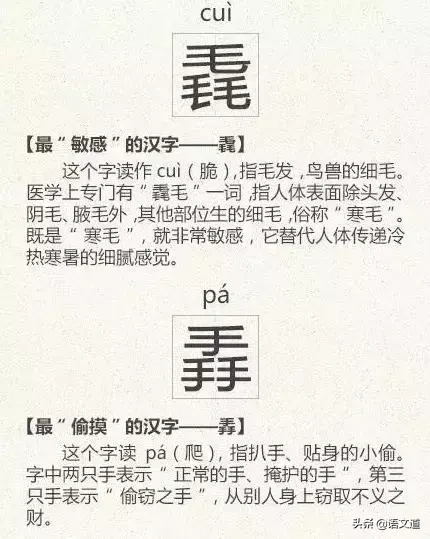 看到这些汉字，我感觉自己的语文白学了