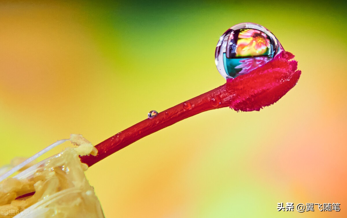 写给女儿十四岁的青春寄语