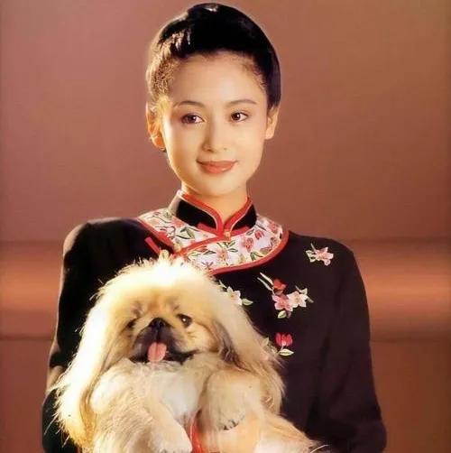 著名导演与“名门痞女”，央视一姐，内地第一美人的激情往事