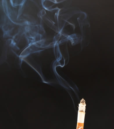 养比熊的禁忌，准备入手的铲屎官请注意