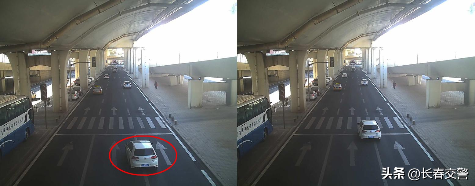 「违法曝光台」再这样开车，蜀黍建议你好好看看交通法吧！