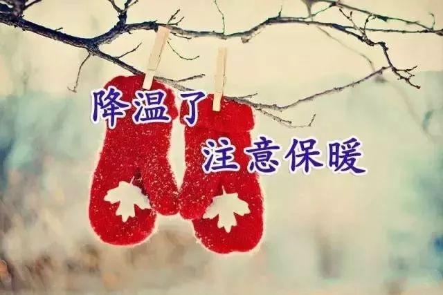 冬天早安问候语句子，天冷了注意保暖的祝福语