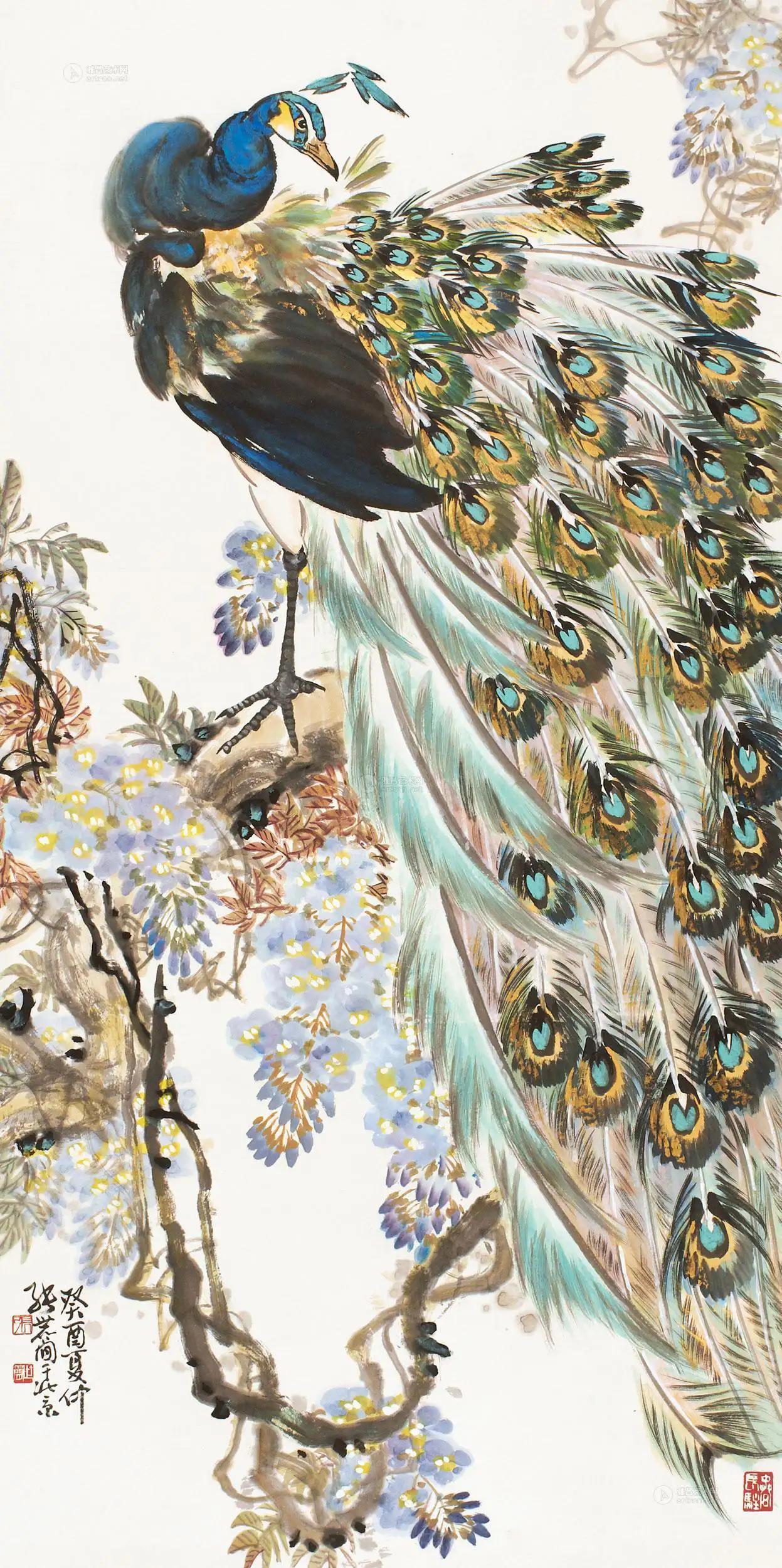 孔雀东南飞！高贵、冷艳的白孔雀